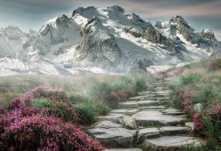 橡皮糖是qq糖吗，橡皮糖和糖都有明胶么？